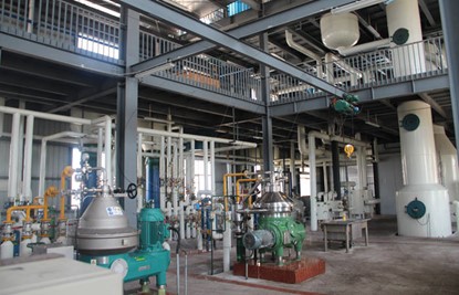 Rice Bran Oil Physical Refining Machine
